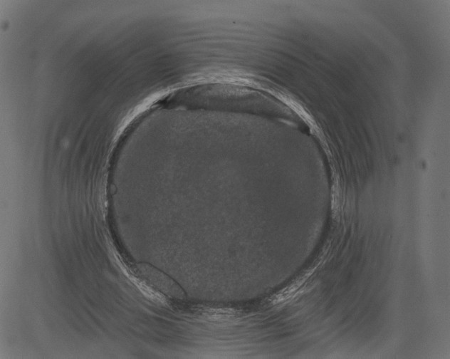 X0000082680438200702091636