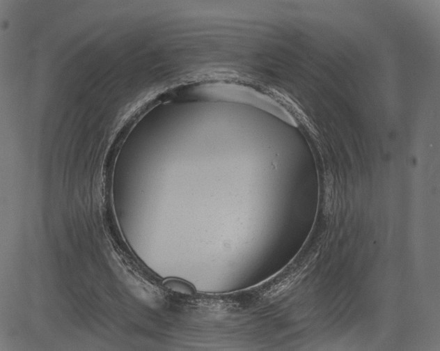 X0000082680439200702091636