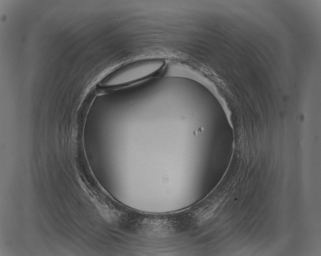 X0000082680440200702091636