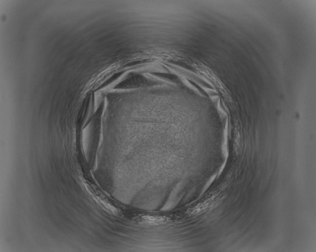 X0000082680442200702091636