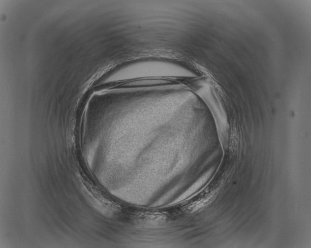 X0000082680443200702091636