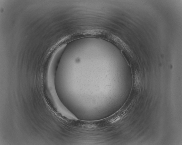 X0000082680444200702091636