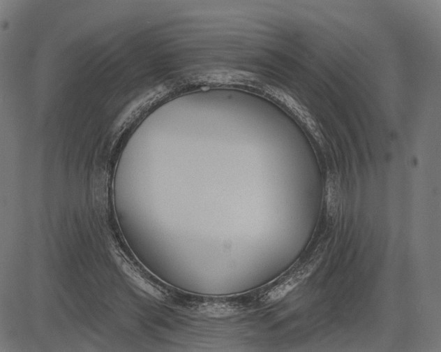 X0000082680445200702091636