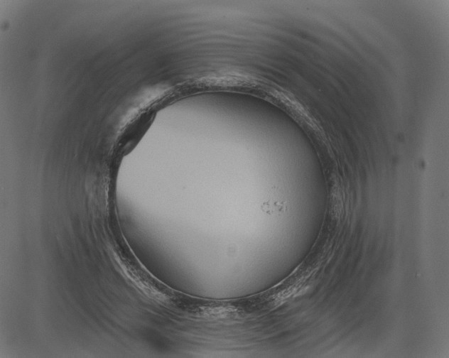 X0000082680446200702091636