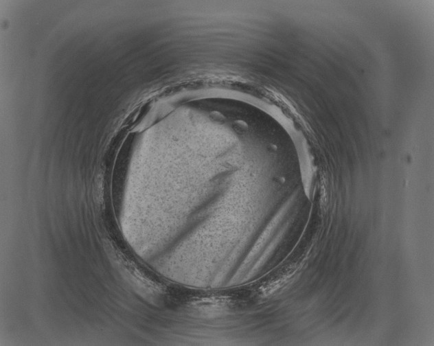 X0000082680447200702091636