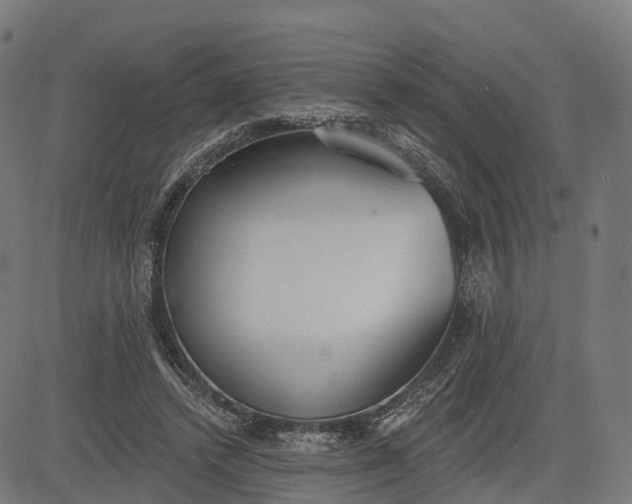 X0000082680448200702091636