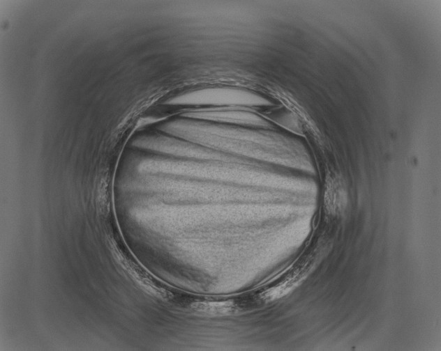 X0000082680449200702091636