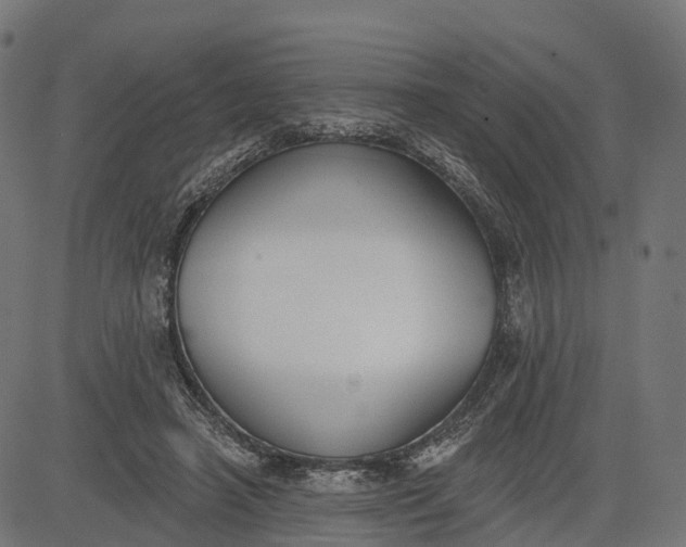 X0000082680450200702091636