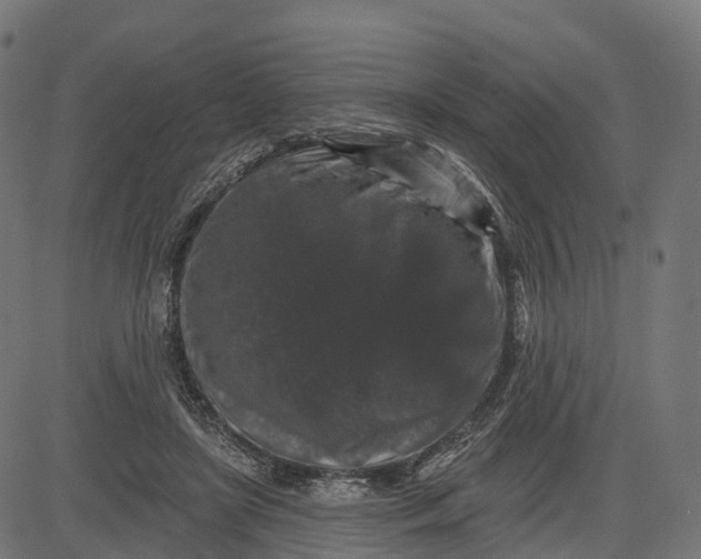 X0000082680451200702091636