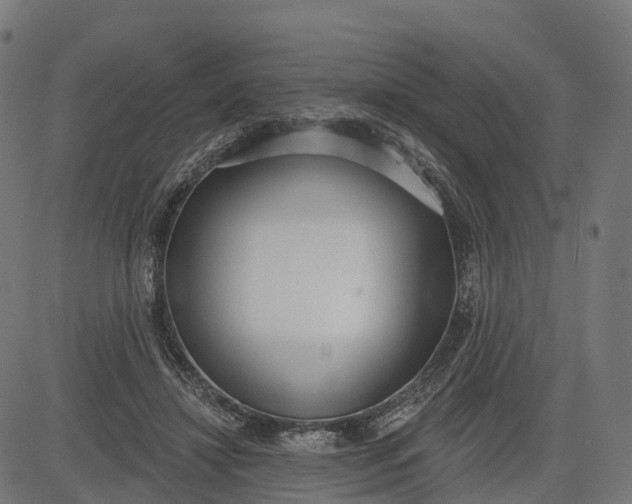 X0000082680452200702091636