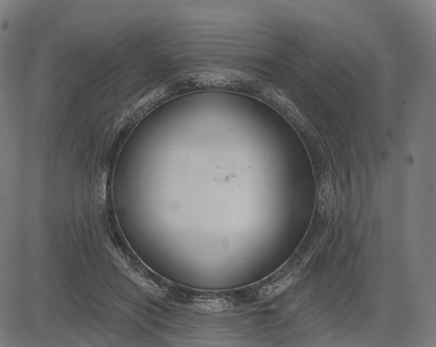 X0000082680454200702091636