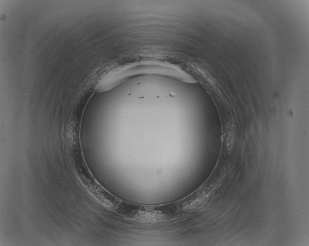 X0000082680455200702091636