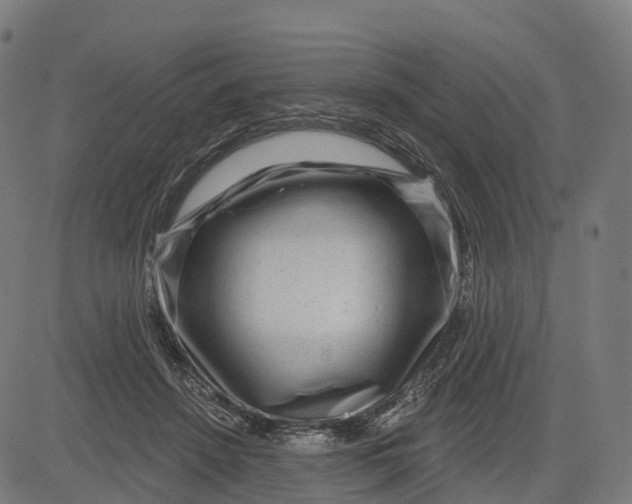 X0000082680456200702091636