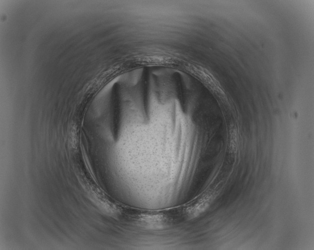 X0000082680457200702091636