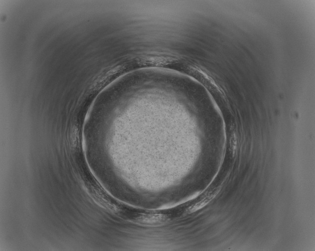 X0000082680459200702091636