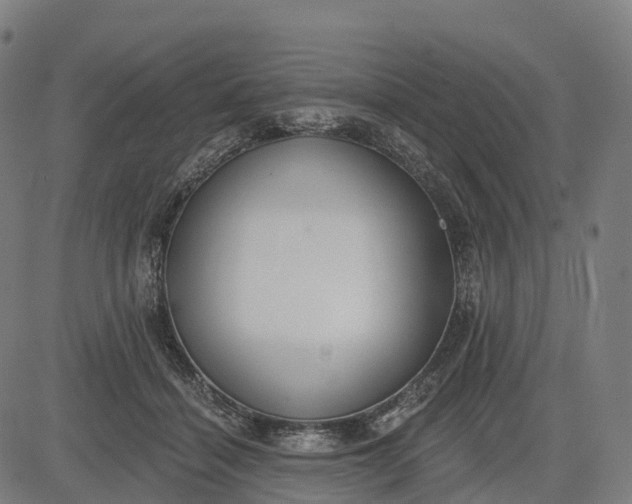 X0000082680460200702091636