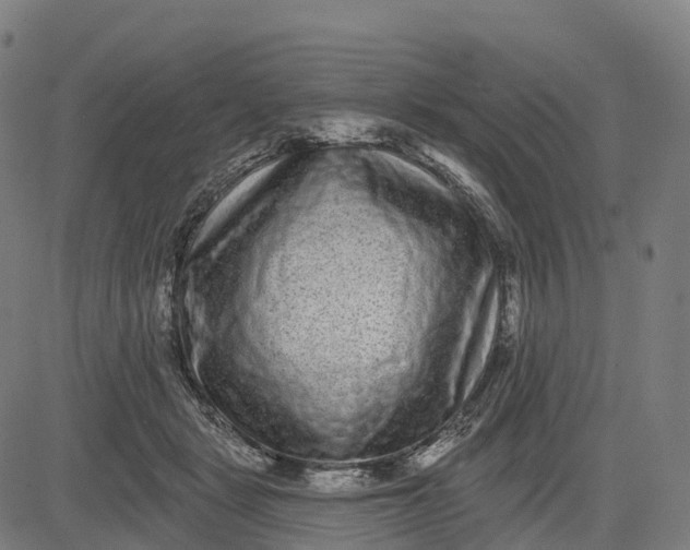 X0000082680461200702091636