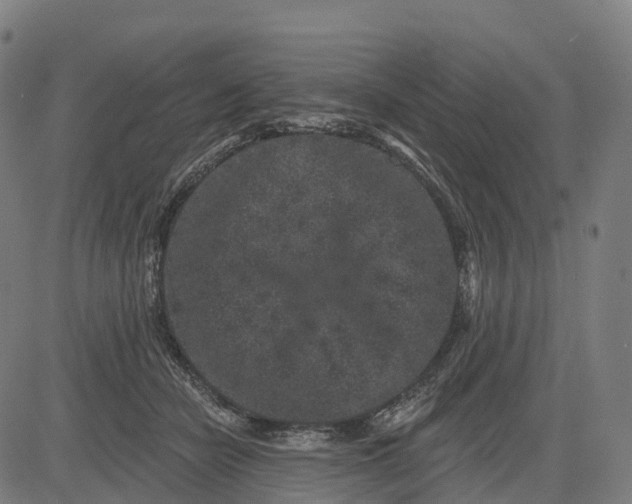 X0000082680462200702091636