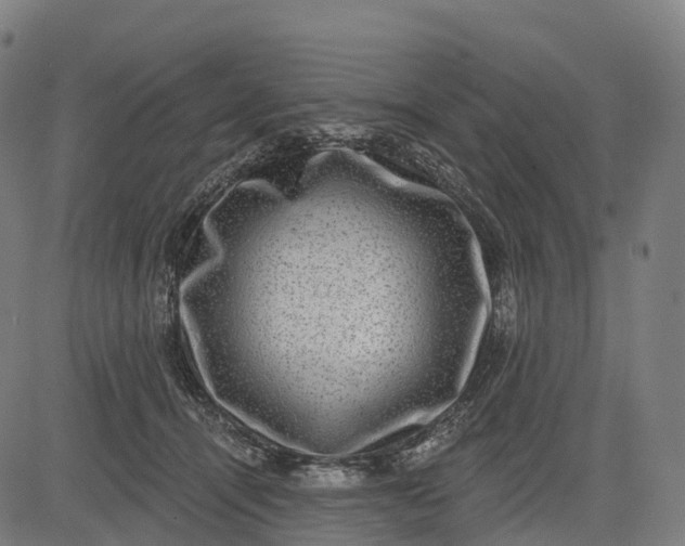 X0000082680464200702091636