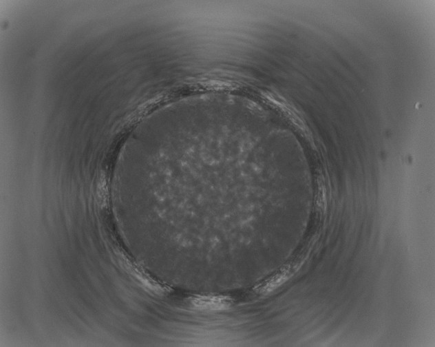 X0000082680465200702091636