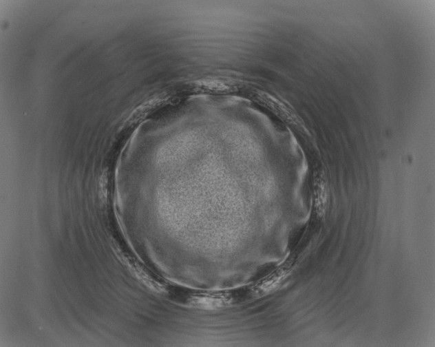 X0000082680466200702091637