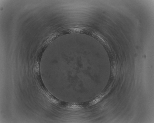 X0000082680467200702091637