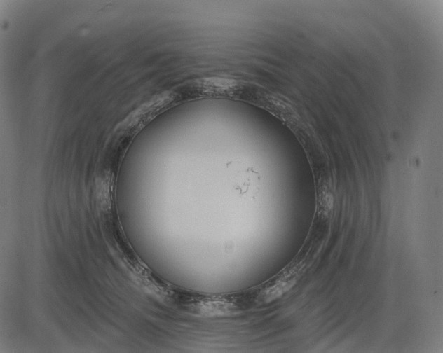 X0000082680468200702091637