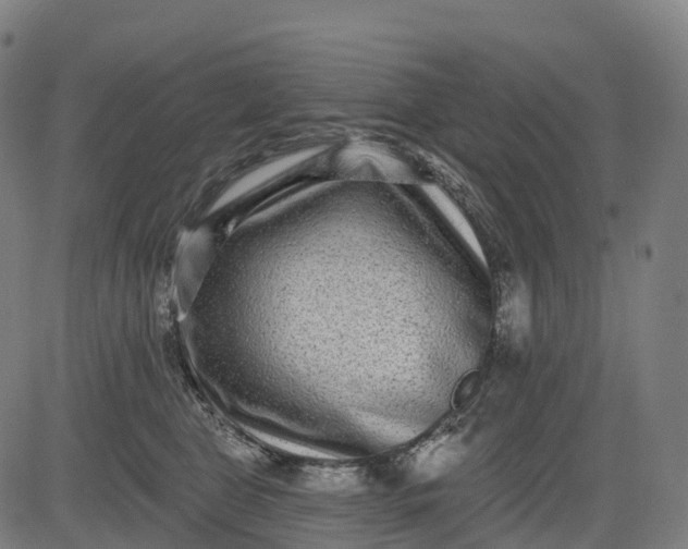 X0000082680469200702091637