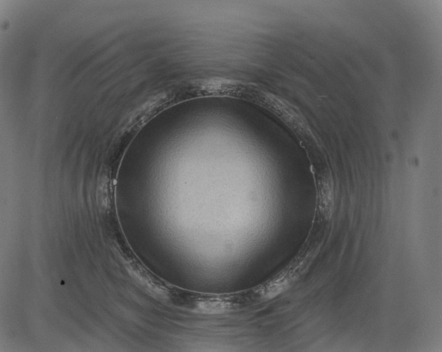 X0000082680470200702091637