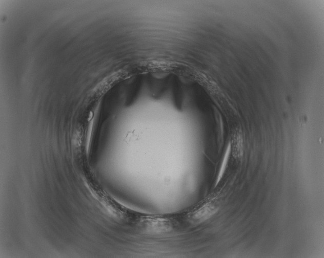 X0000082680472200702091637