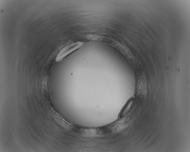 X0000082680473200702091637