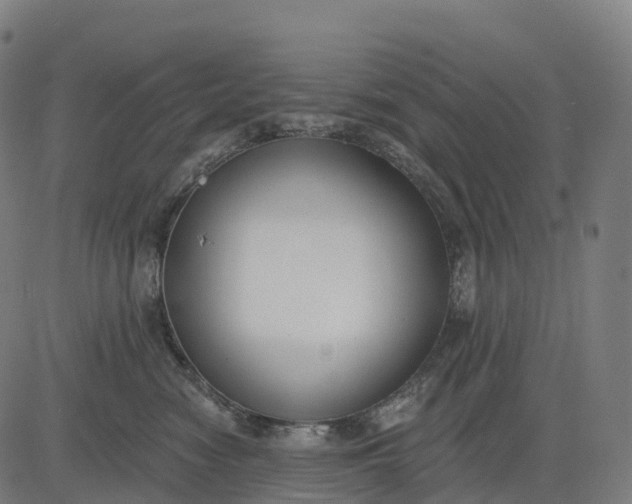 X0000082680474200702091637