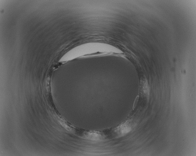 X0000082680475200702091637