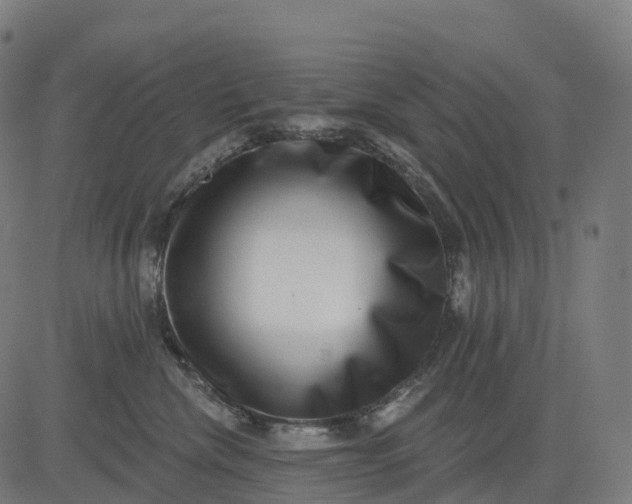 X0000082680476200702091637