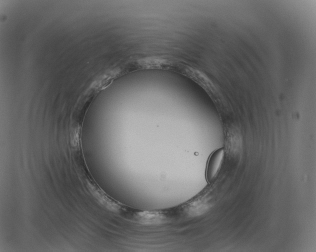 X0000082680477200702091637