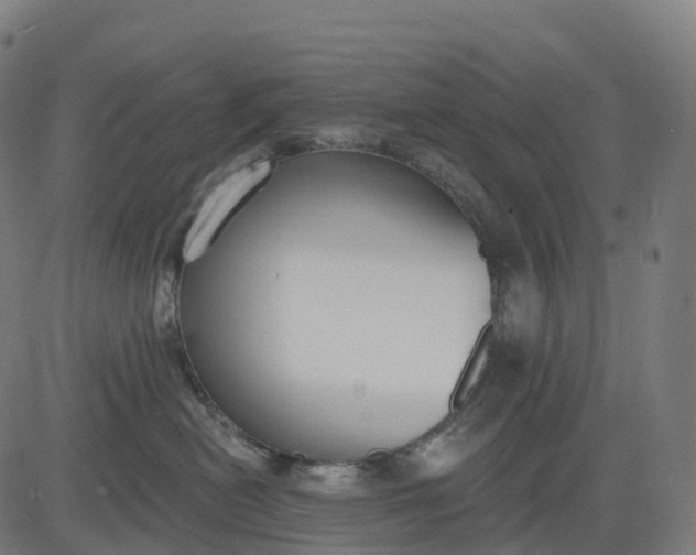 X0000082680478200702091637