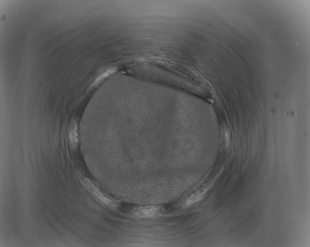 X0000082680479200702091637