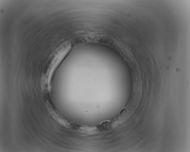 X0000082680480200702091637