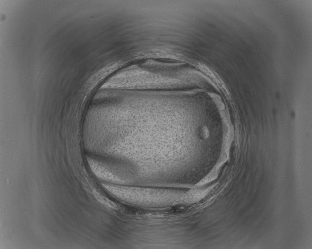 X0000082680481200702091636