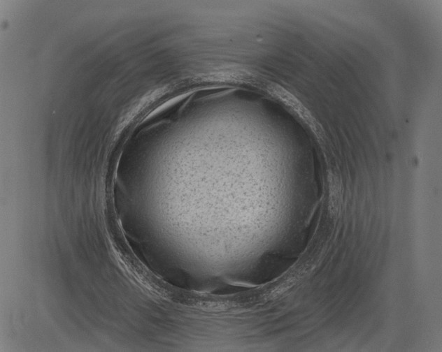 X0000082680482200702091636