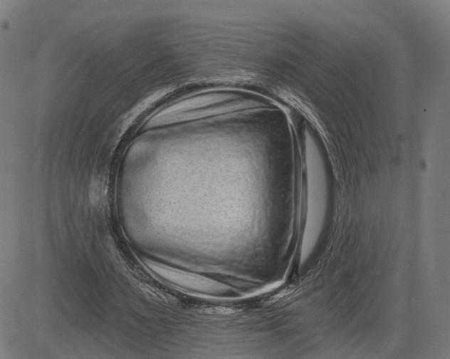 X0000082680483200702091636