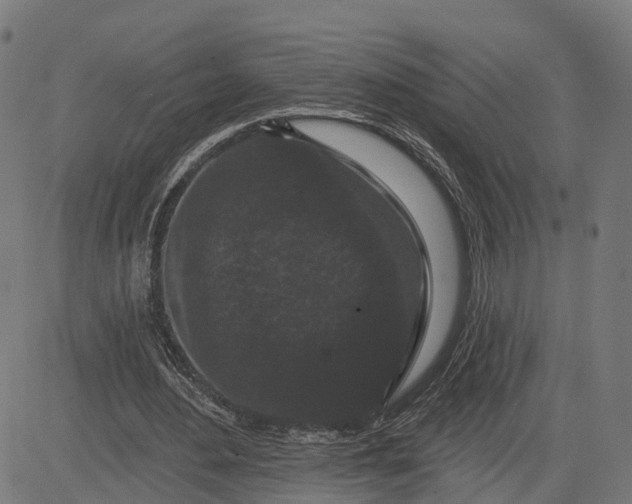 X0000082680484200702091636