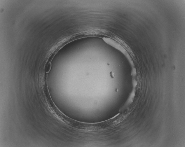 X0000082680485200702091636