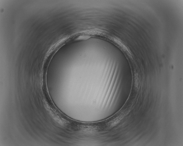 X0000082680486200702091636