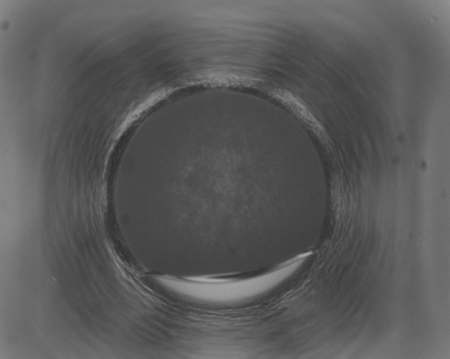 X0000082680488200702091636