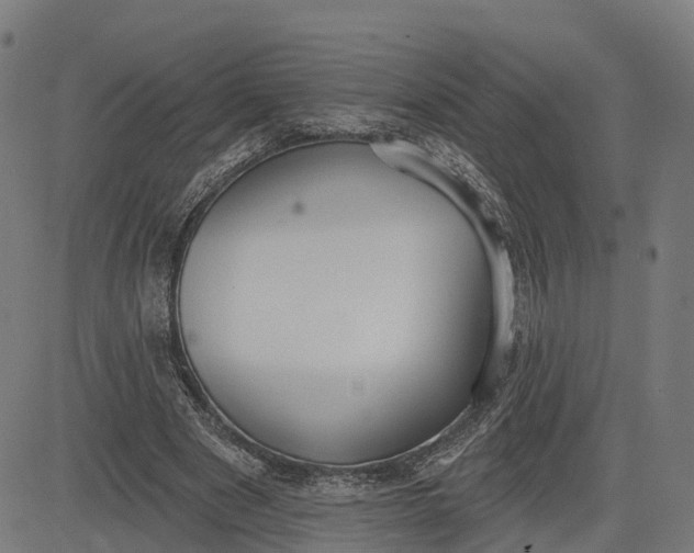 X0000082680489200702091636