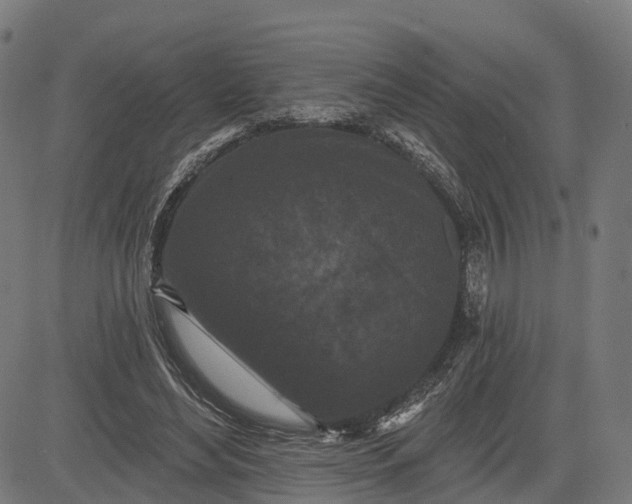 X0000082680492200702091636