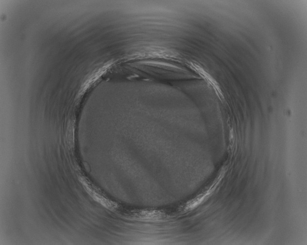 X0000082680493200702091636