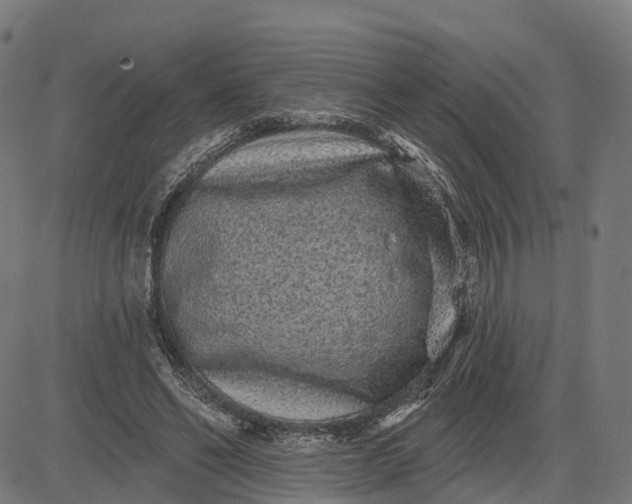 X0000082680494200702091636