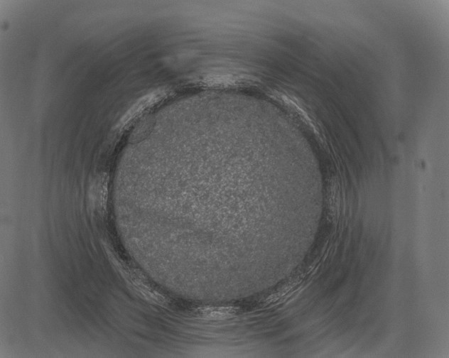 X0000082680495200702091636